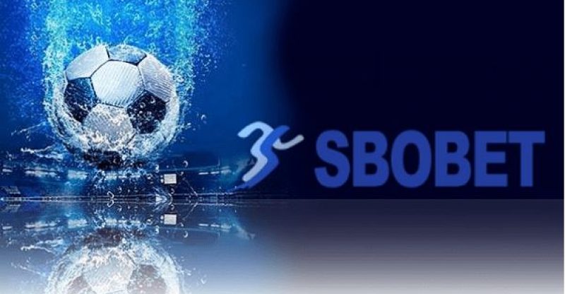 Sbobet Vx88 hiện lên là nhà cái như nào